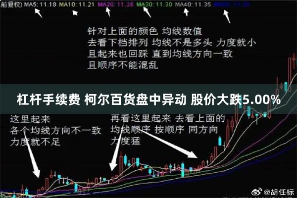 杠杆手续费 柯尔百货盘中异动 股价大跌5.00%