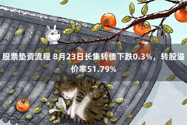 股票垫资流程 8月23日长集转债下跌0.3%，转股溢价率51.79%