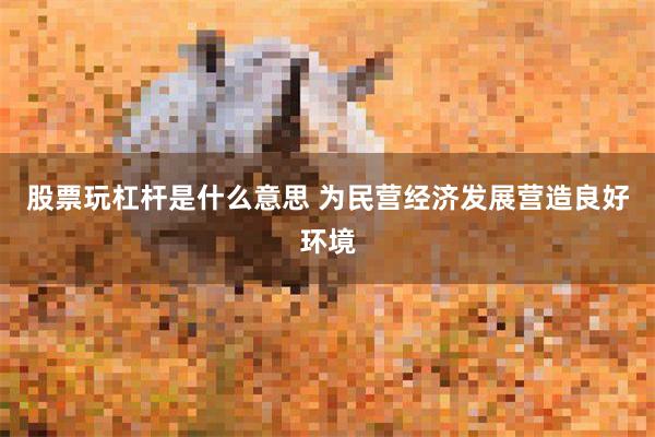 股票玩杠杆是什么意思 为民营经济发展营造良好环境