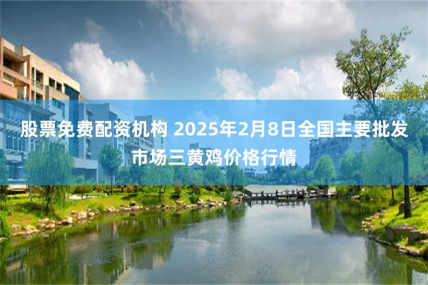 股票免费配资机构 2025年2月8日全国主要批发市场三黄鸡价格行情